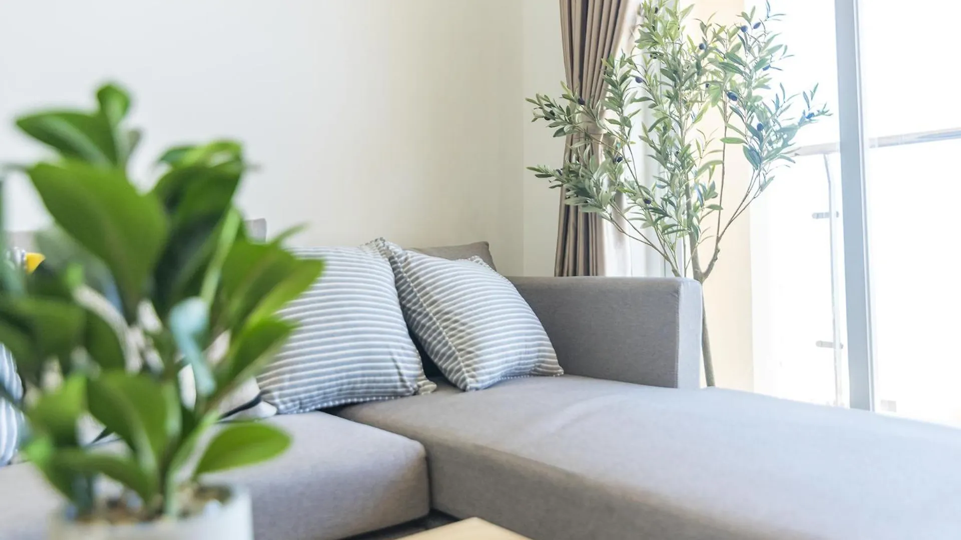 Vung Tau Palm Homestay 1 - Gold Sea 0*, Vung Tau Vietnam