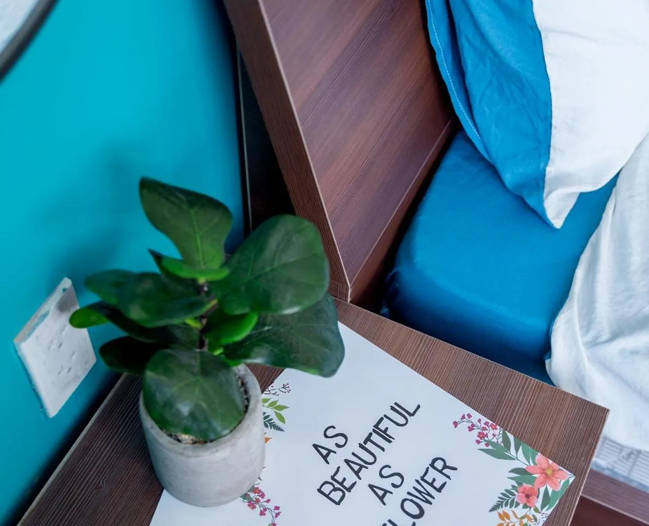 Vung Tau Palm Homestay 1 - Gold Sea Vietnam